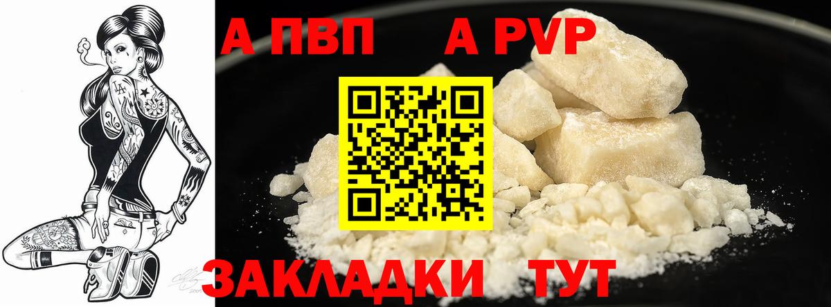 Alfa_PVP СК Саранск