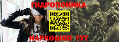 гашик Славянск-на-Кубани
