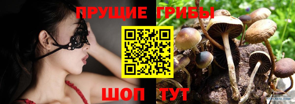 Галлюциногенные грибы Psilocybine cubensis  Вход с VPN  Саранск 