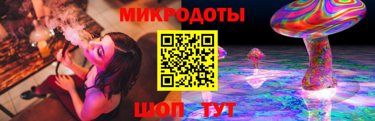 Псилоцибиновые грибы Psilocybe Саранск